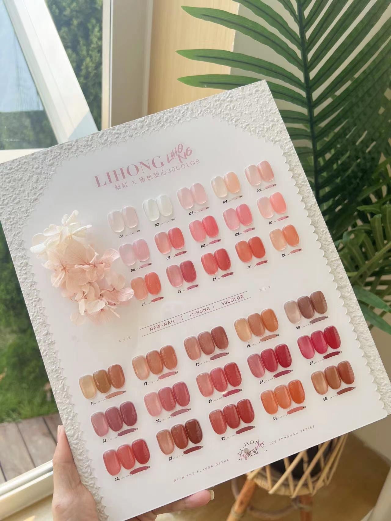 LiHong 30 Colors Jelly Set (01)